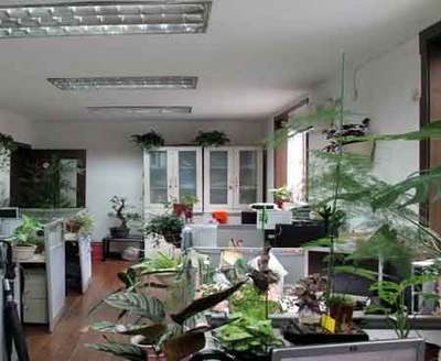 花卉苗木零售公司介绍